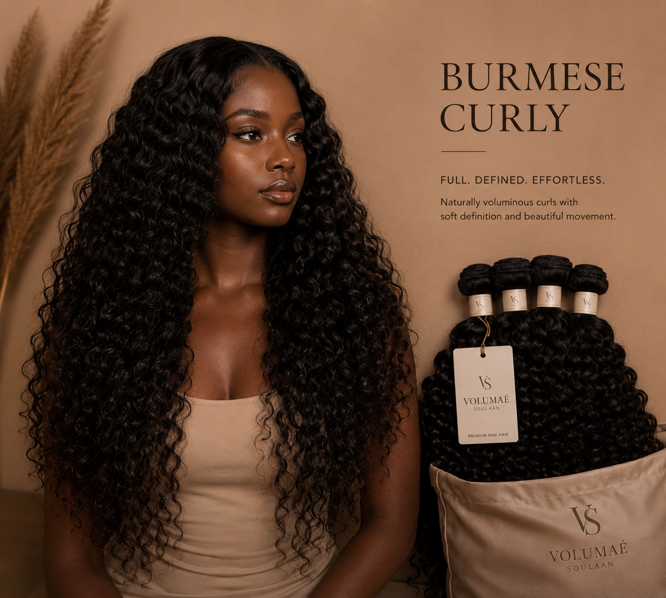 Burmese Curly