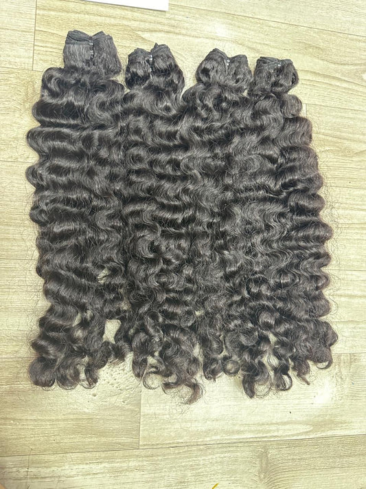 Burmese Curly